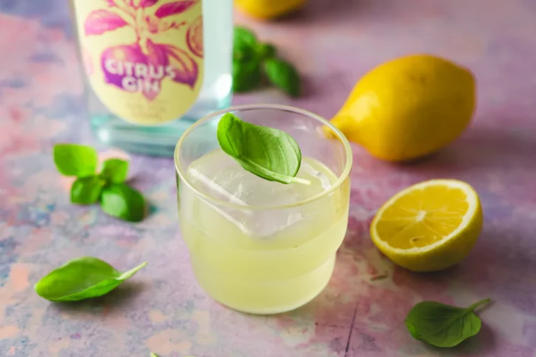 Erfrischender Citrus Gin Basil Smash für den Sommer 🍋🌿