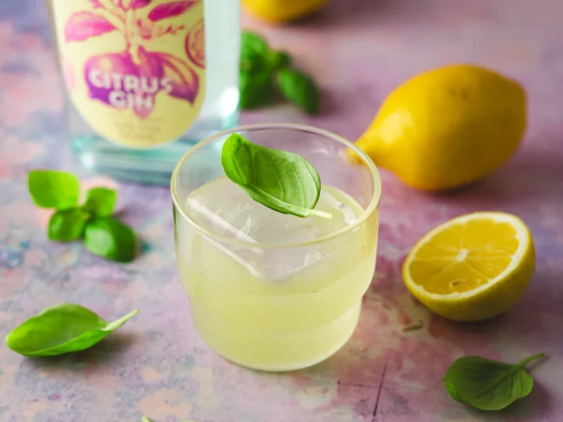 Citrus Gin Basil Smash