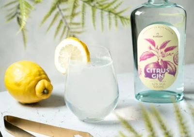 Erfrischender Citrus Gin Fizz Cocktail – Einfaches Rezept