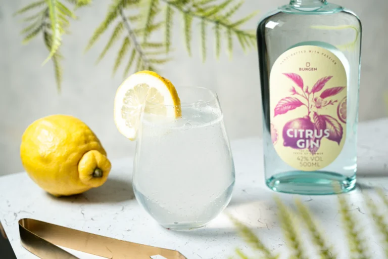 Erfrischender Citrus Gin Fizz Cocktail – Einfaches Rezept