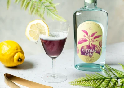 Violet Panther Cocktail Rezept – Ein erfrischender Genuss mit Citrus Gin
