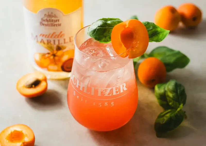 Schlitzer Apricot Aperol Fizz