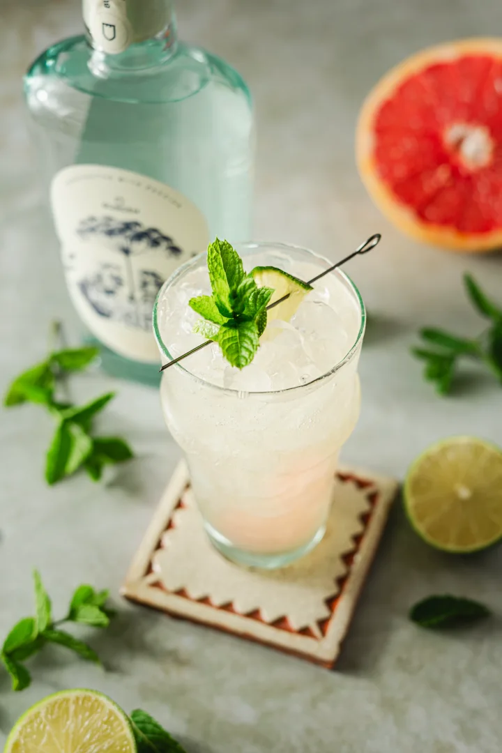 Grapefruit Gin 