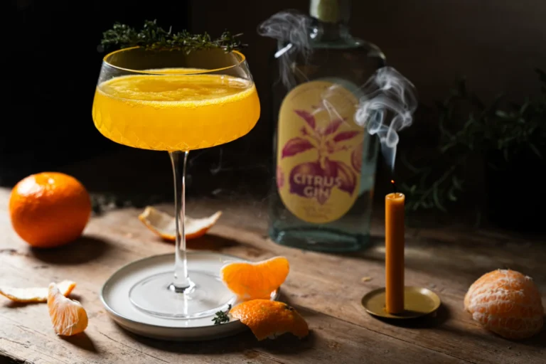 Clementine Gin Sparkler mit Burgen Citrus Gin – Rezept