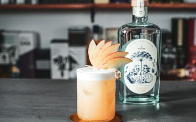 Apple Business Cocktail mit Burgen Gin Rezept