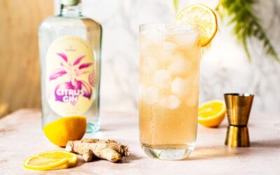 Citrus Gin Buck – Erfrischender Cocktail mit Citrus Gin