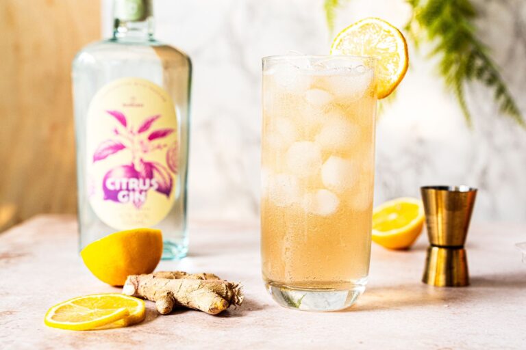 Citrus Gin Buck – Erfrischender Cocktail mit Citrus Gin