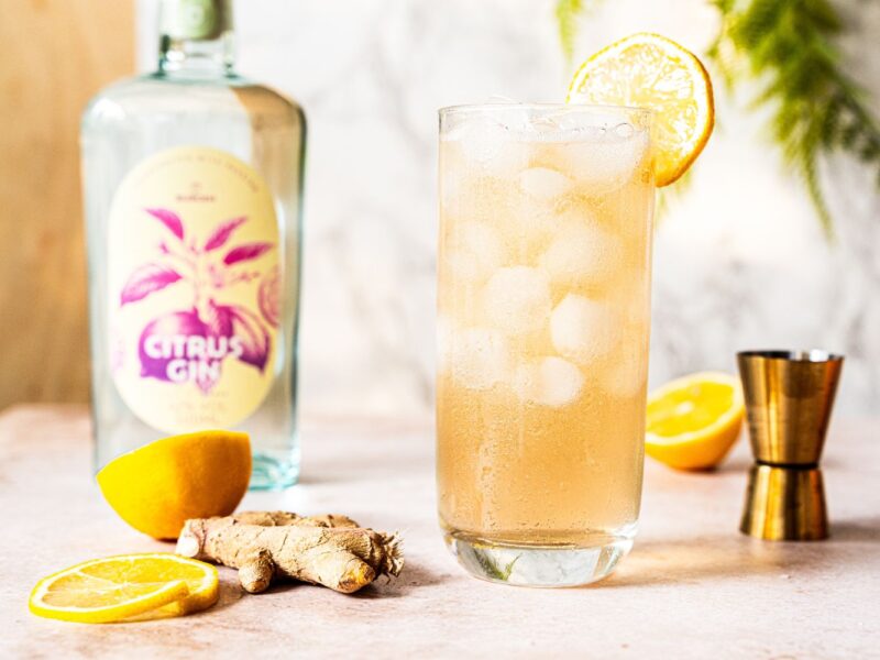 Ein Longdrink mit Eis und Zitronenscheibe, eine Gin-Flasche, Ingwer und Zitronenhälften auf einem Tisch.