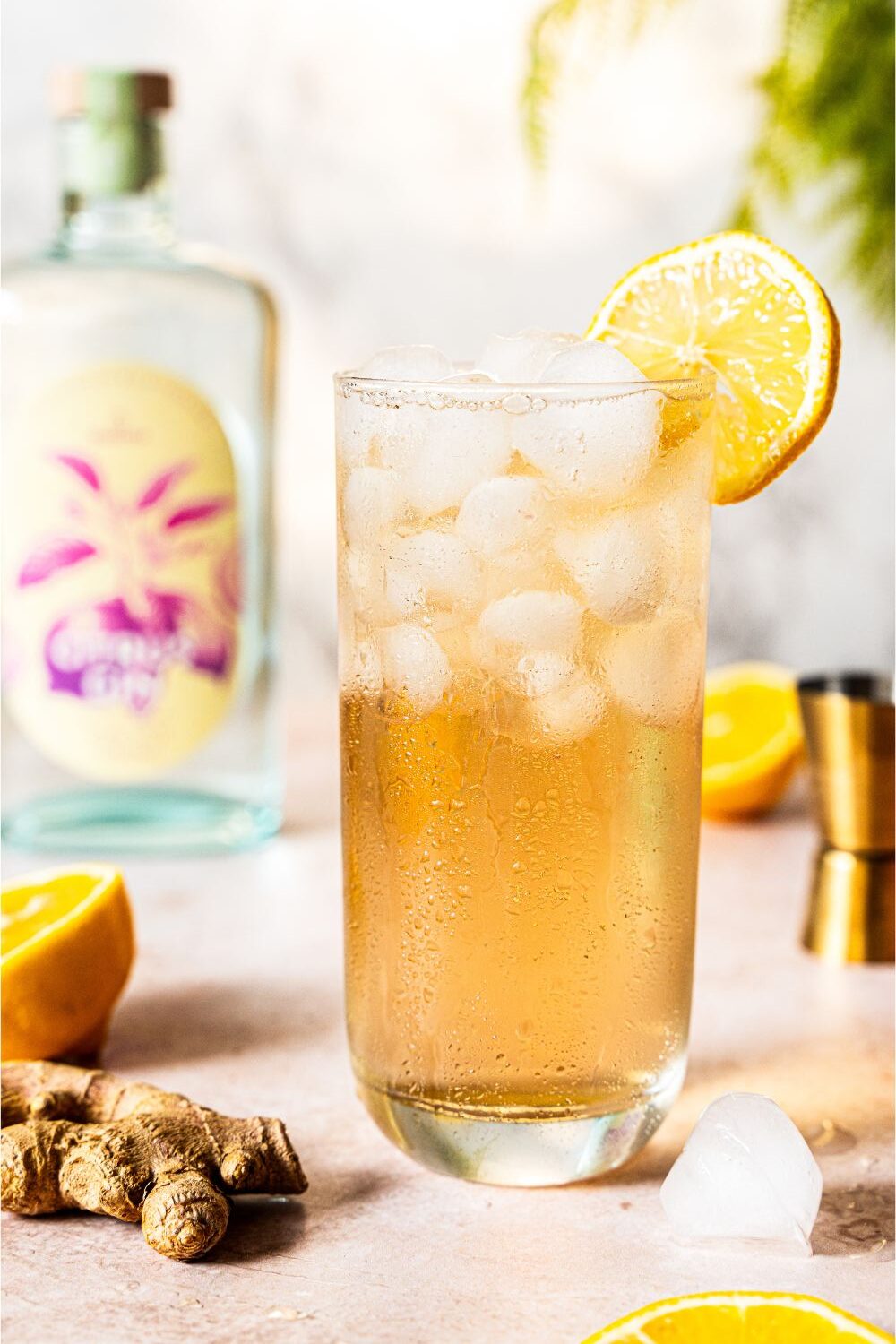 Ein Cocktailglas mit Eis und Zitronenscheibe auf Tisch, Ingwerstück und Flasche im Hintergrund.