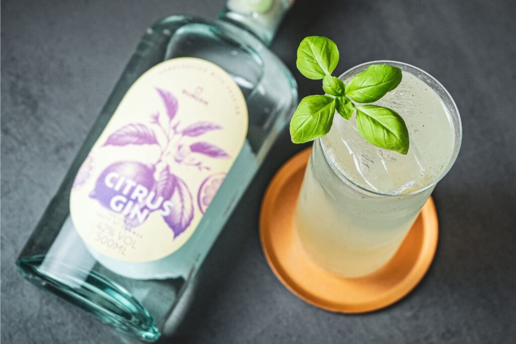 Flasche Citrus Gin und Glas mit Eis und Basilikum auf Untersetzer, auf dunklem Hintergrund.