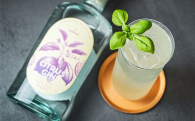 Spicy Basil Fizz Cocktail – Gin, Basilikum & Zitrone