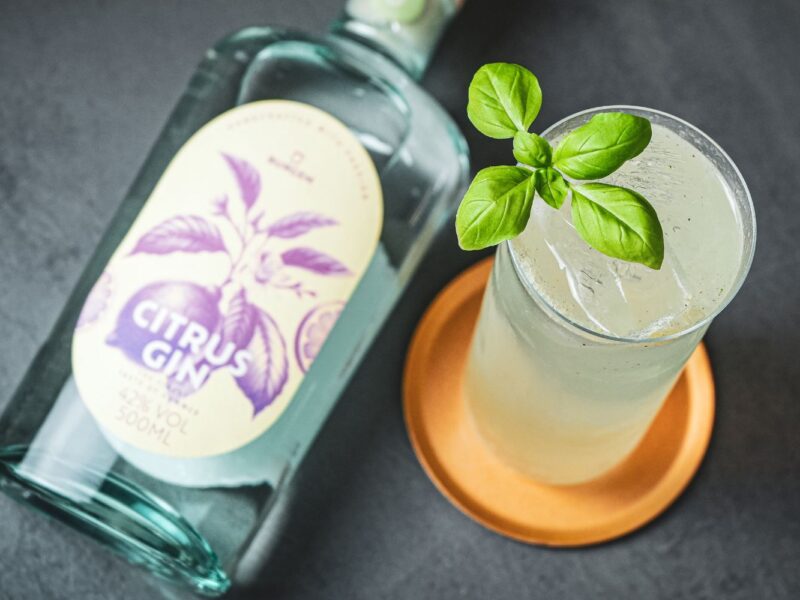 Flasche Citrus Gin und Glas mit Eis und Basilikum auf Untersetzer, auf dunklem Hintergrund.