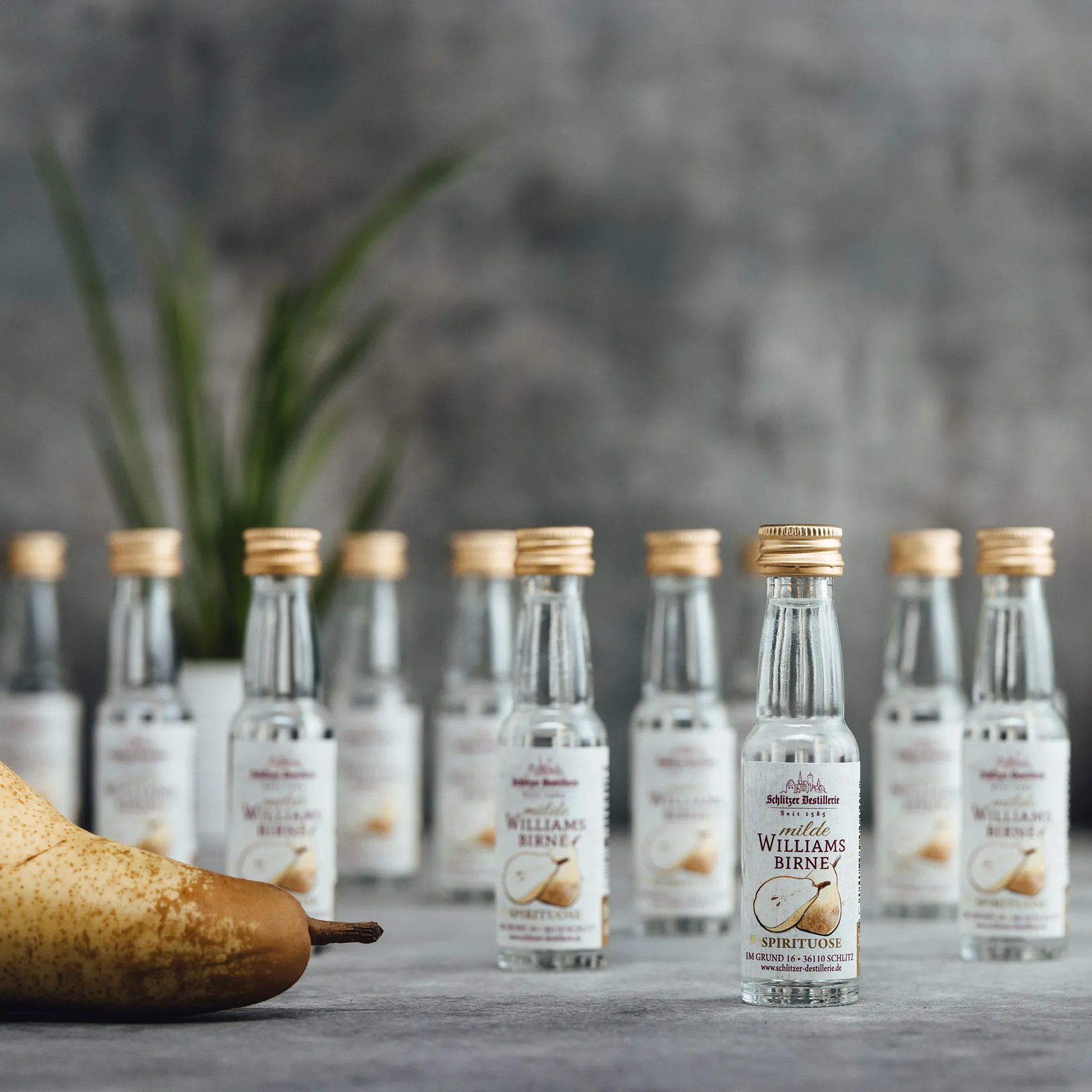 Milde Minis Probier-Set – Edle Spirituosen in dekorativer Geschenkbox Vier Miniaturflaschen milder Spirituosen der Schlitzer Destillerie stehen auf einem Holztisch vor rustikaler Holzfass-Kulisse, begleitet von einem gefüllten Schnapsglas – ideale Probiergröße für Genießer edler Brände.