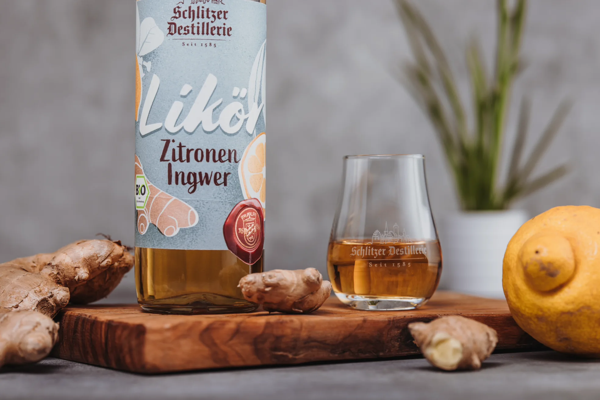 Ingwer-Zitrone Likör – Fruchtiger Kräuterlikör aus der Schlitzer Destillerie Flasche Schlitzer Likör Ingwer Zitrone mit gelbem Etikett vor weißem Hintergrund – veganer Kräuterlikör mit fruchtig-scharfer Note.