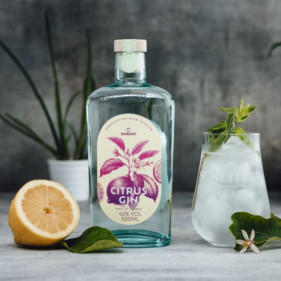Schlitzer Bio Gin – Handgefertigte Spirituose in stilvoller Flasche vor dunklem Hintergrund Gin-Flasche der Schlitzer Destillerie auf hellem Hintergrund, elegant inszeniert mit Wacholderbeeren, Zitrusfrüchten und Kräutern als Zutaten, hochwertige Spirituose aus Hessen.