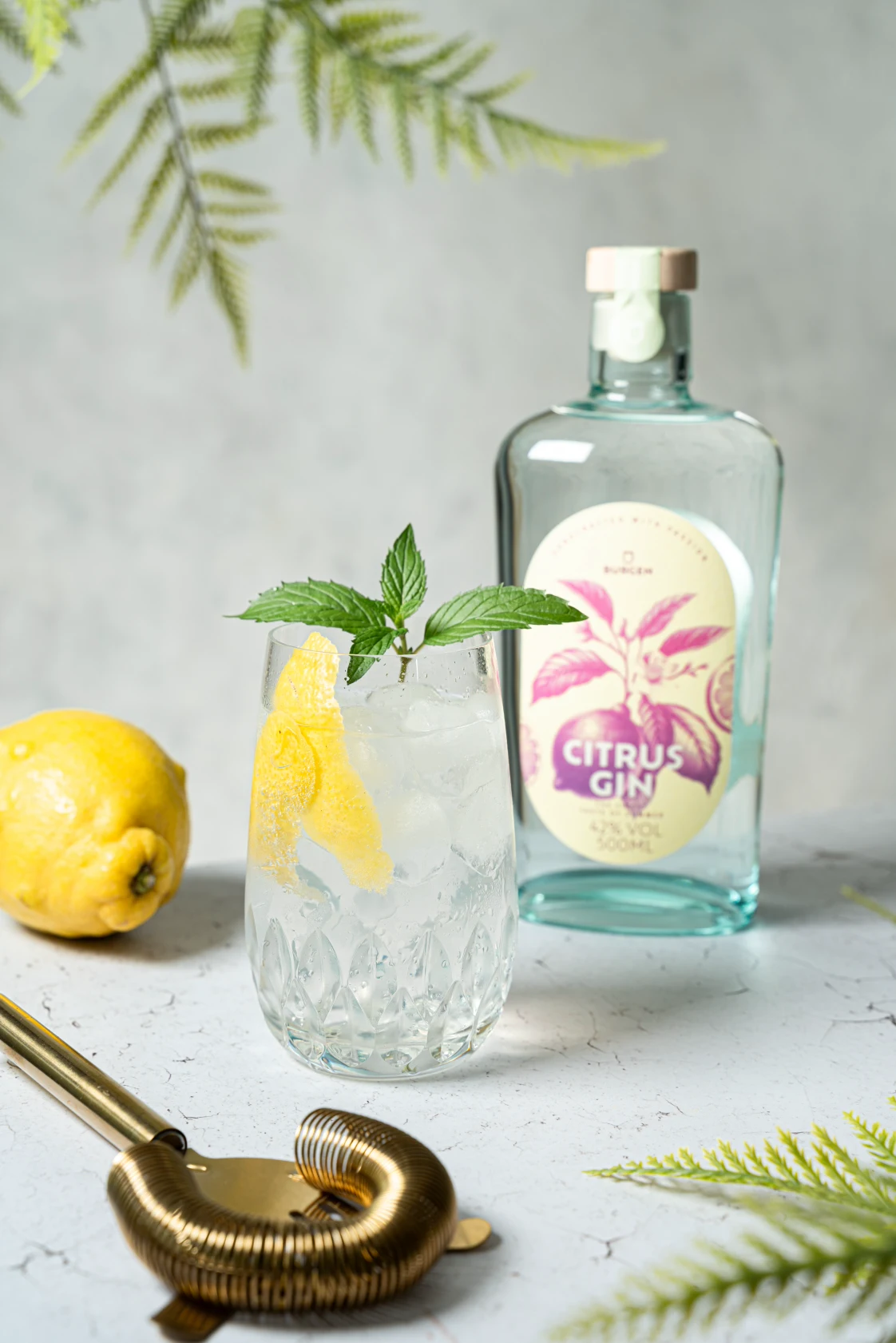 Erfrischender Citrus Gin Tonic mit Eis und Limette im Glas – Sommergetränk genießen Flasche Citrus Gin der Schlitzer Destillerie neben einem Glas Gin Tonic mit Eis, frischer Gurke und Limette auf hellem Untergrund, sommerlich angerichtet.