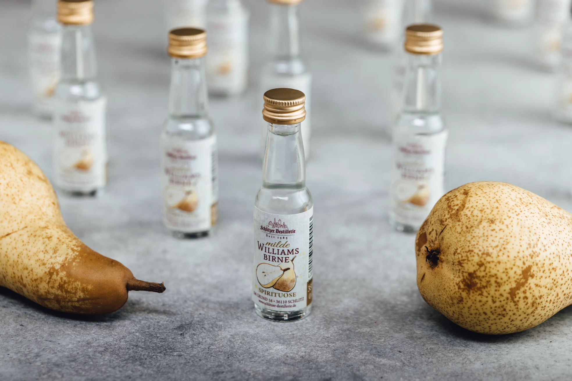 Schlitzer Milde Birne – Edler Birnenlikör in stilvoller Flasche Flasche Schlitzer Milde Birne Likör mit 0,5 Liter Inhalt, klarer Fruchtlikör mit 25 % Vol., vor weißem Hintergrund stehend – regionales Produkt aus der Schlitzer Destillerie in Hessen.