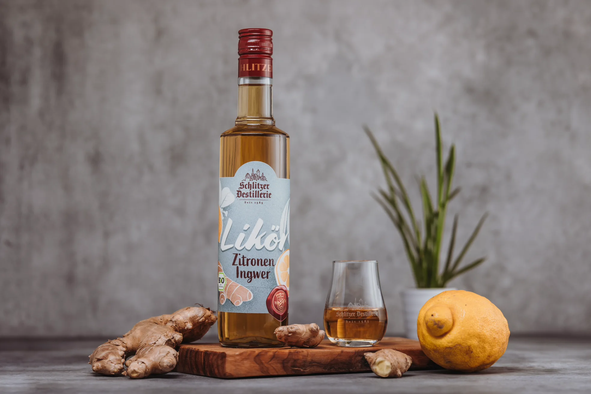 Ingwer Likör in edler Glasflasche – Schlitzer Destillerie Spezialität Flasche Schlitzer Ingwer Likör 0,5 l vor weißem Hintergrund – edles Design mit goldener Kapsel und weißem Etikett, aromatischer Ingwerlikör aus der Schlitzer Destillerie, Spirituose mit feiner Schärfe und natürlichem Geschmack.