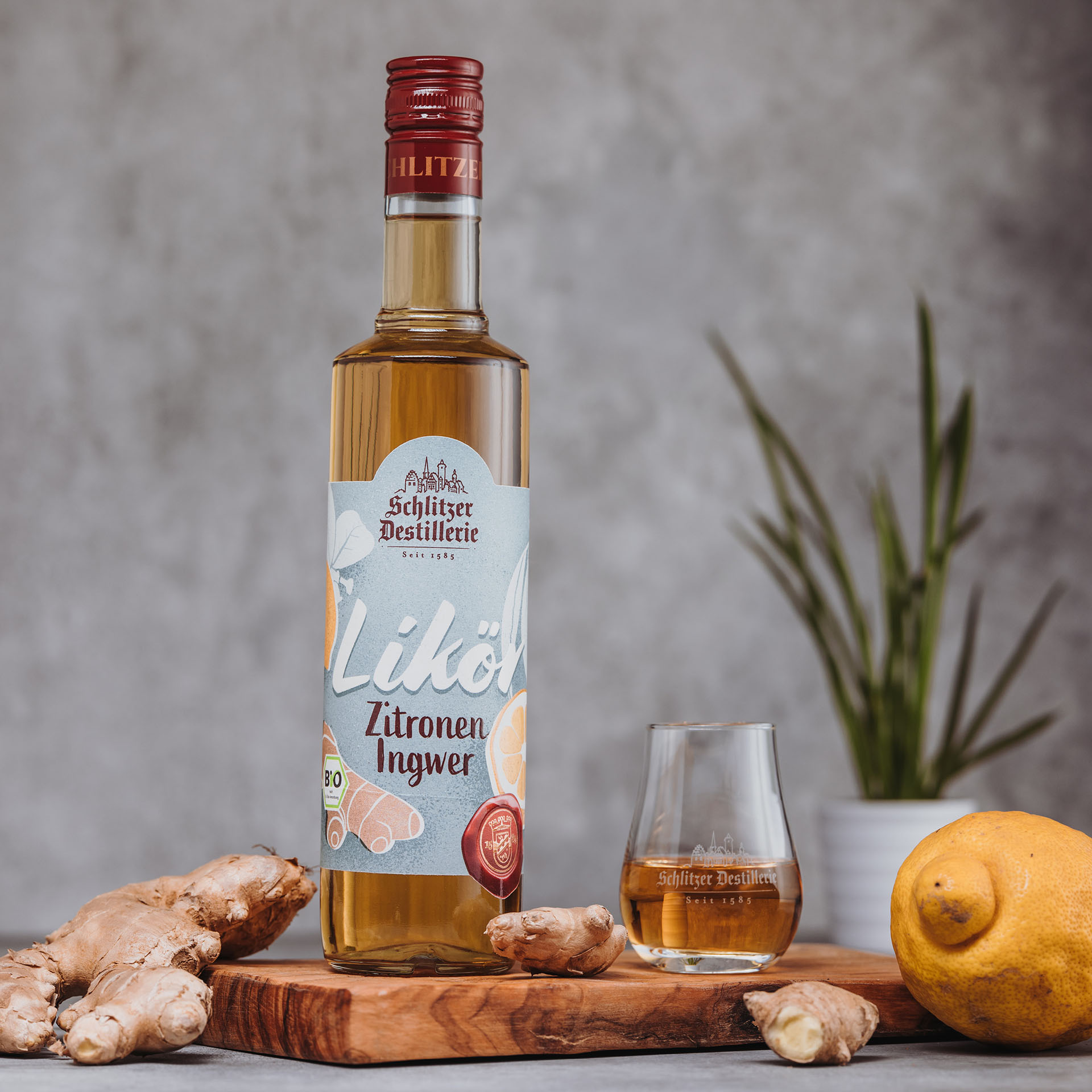 Zitrone Ingwer Bio Likör - Produktbild für Webshop Bild des Schlitzer Destillerie Zitrone Ingwer Bio Likörs, zeigt eine elegant gestaltete Flasche mit frischen Zitronen und Ingwer im Hintergrund, geeignet für Online-Shop-Darstellung.